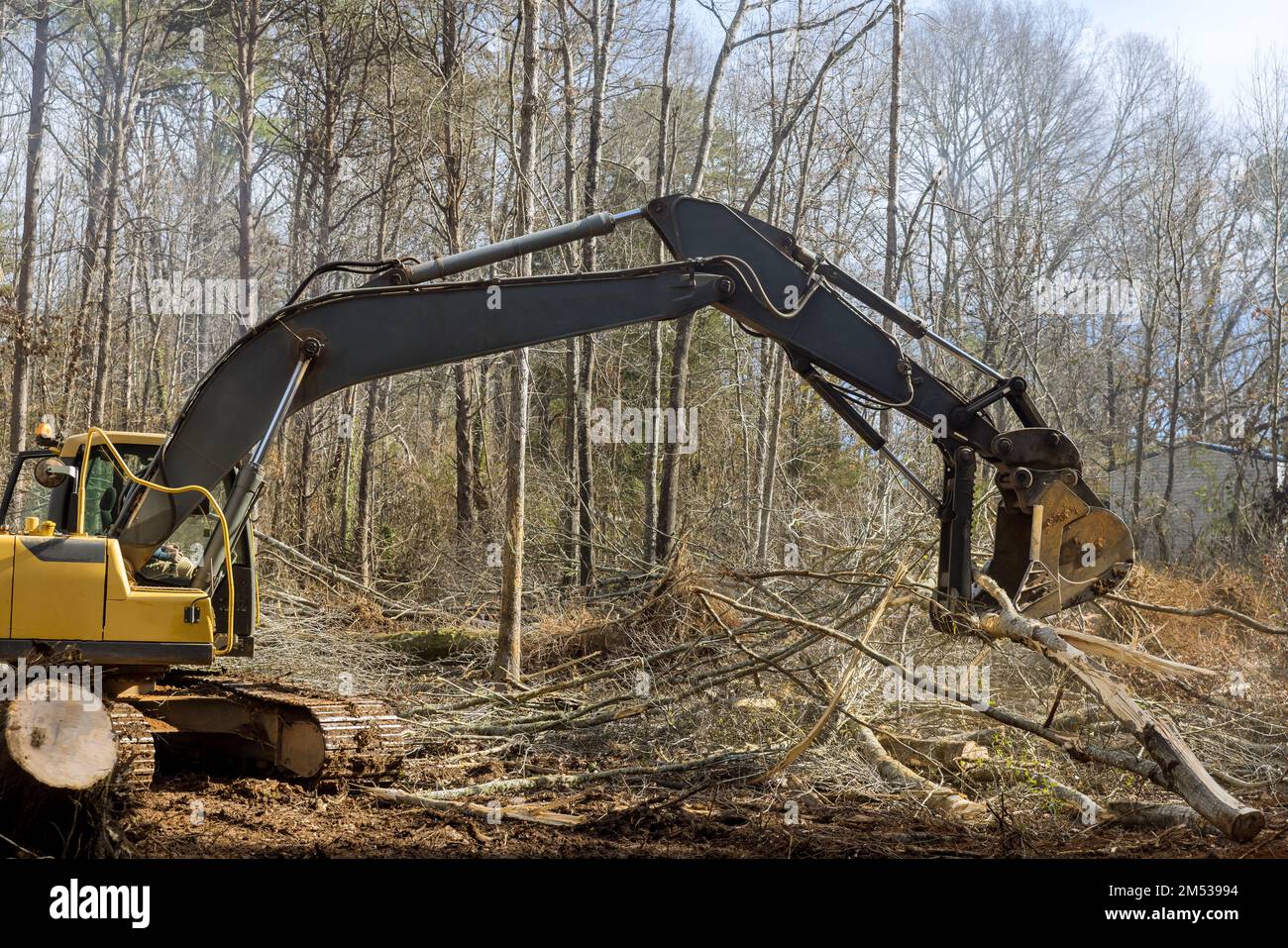 Le tracteur élimine les branches cassées qui déracinent les arbres dans le parc après un violent ouragan Banque D'Images
