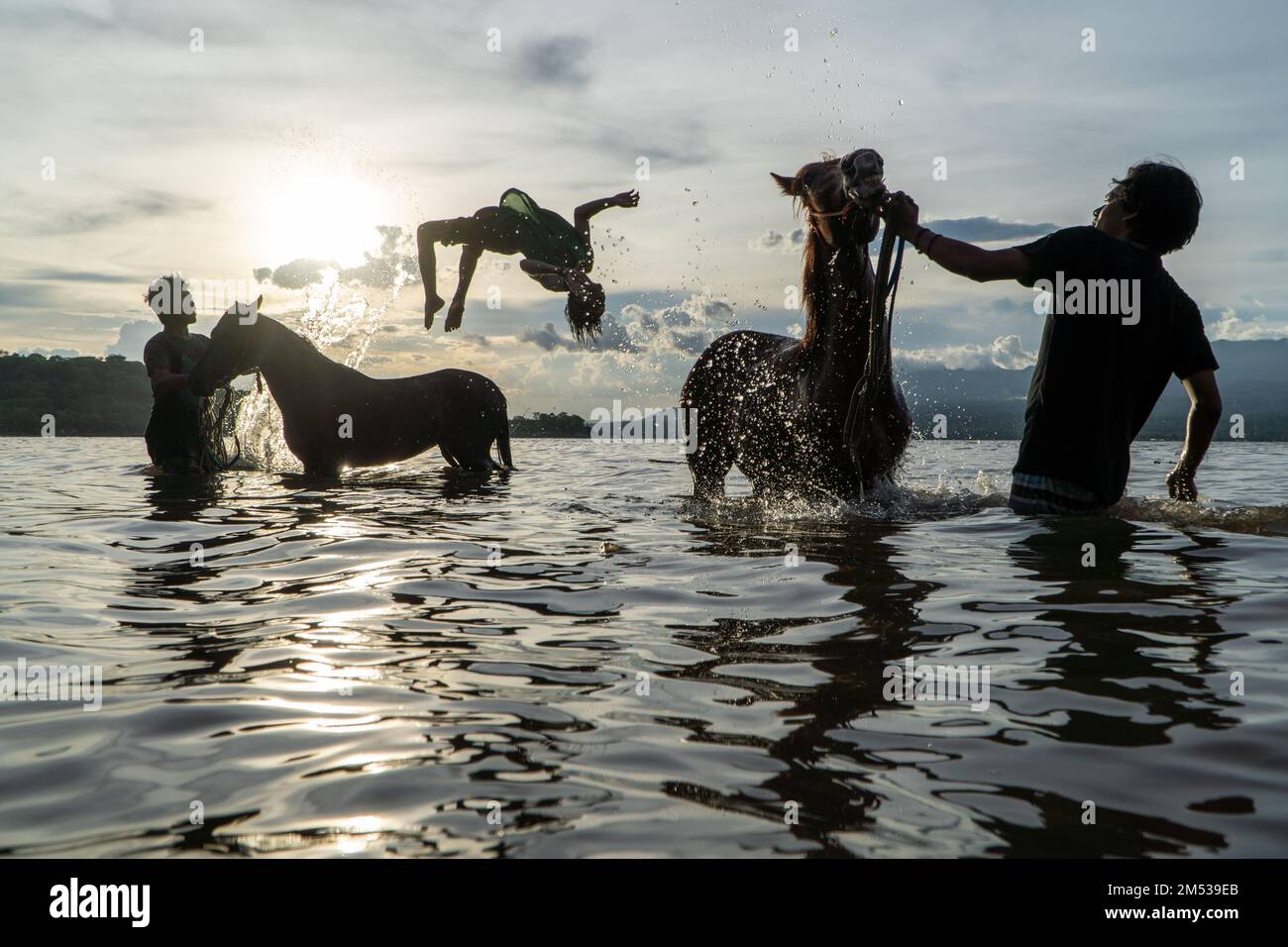 Au coucher du soleil, trois silhouettes de personnes nettoyant des chevaux de course sur une plage de Lariti Beach, dans le quartier de Bima, dans l'ouest de Nusa Tenggara. Baignade de chevaux en eau de mer Banque D'Images