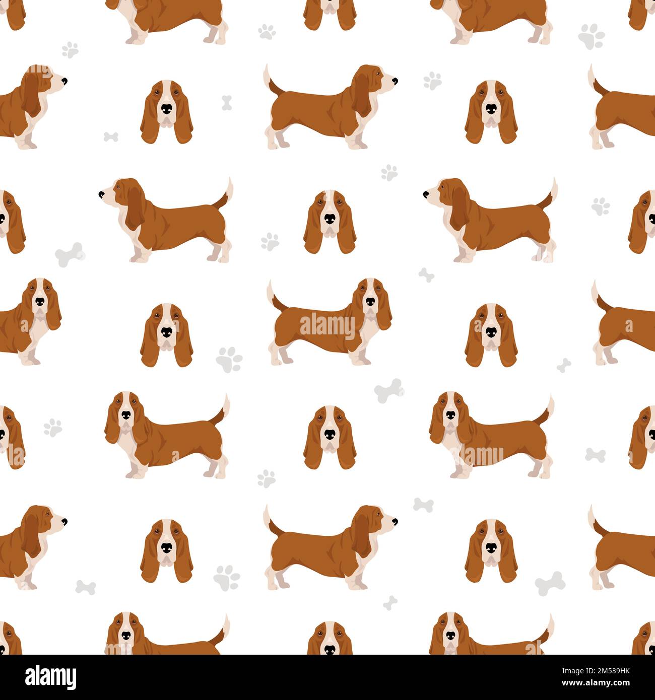 Motif chien de chien chien de race BASSET. Illustration vectorielle Illustration de Vecteur