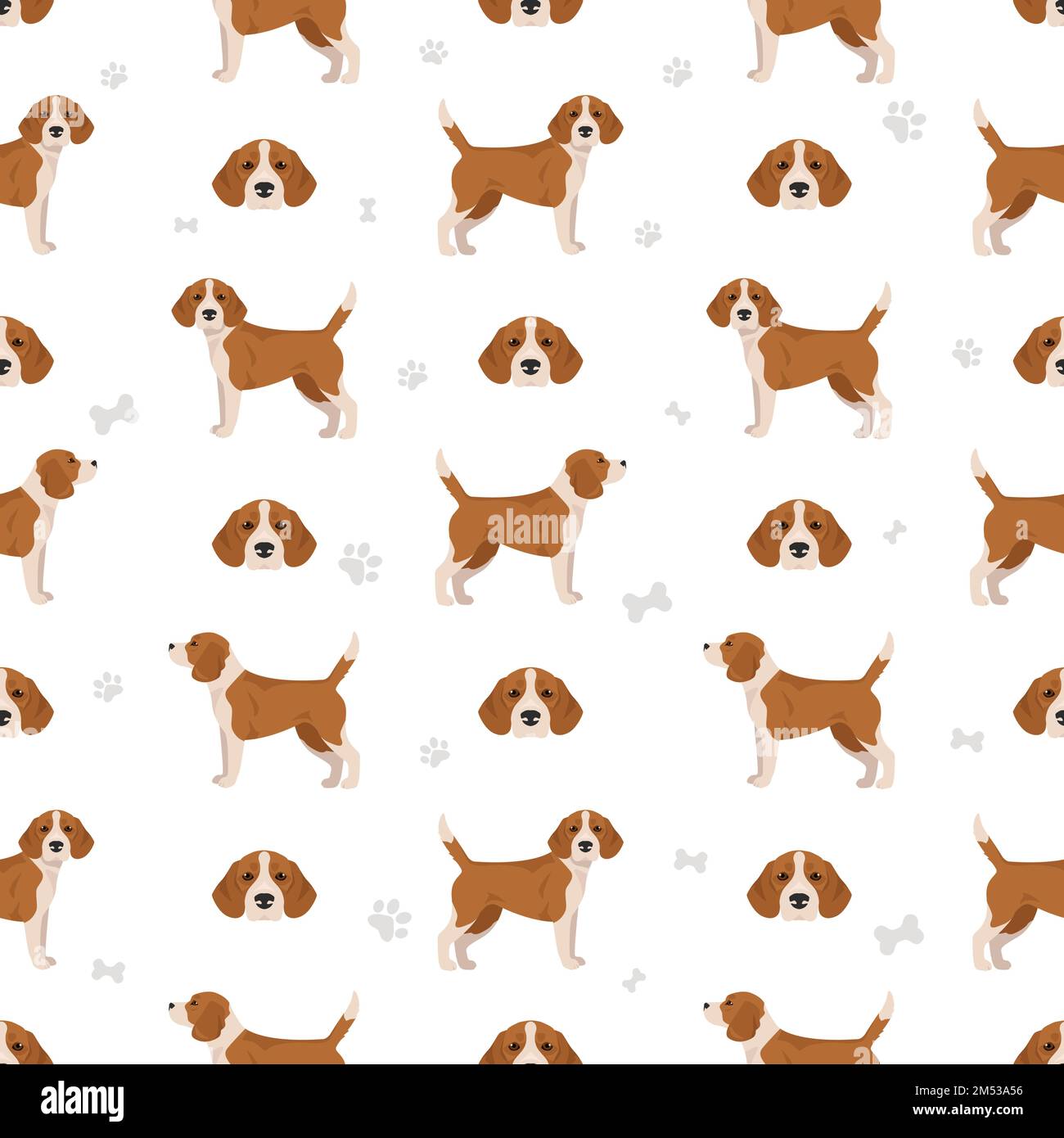 Carte De Joyeux Anniversaire Beagle, Carte De Voeux