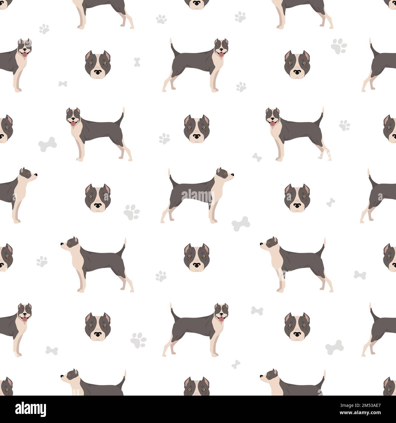 American staffordshire terrier sans coutures. Illustration vectorielle Illustration de Vecteur