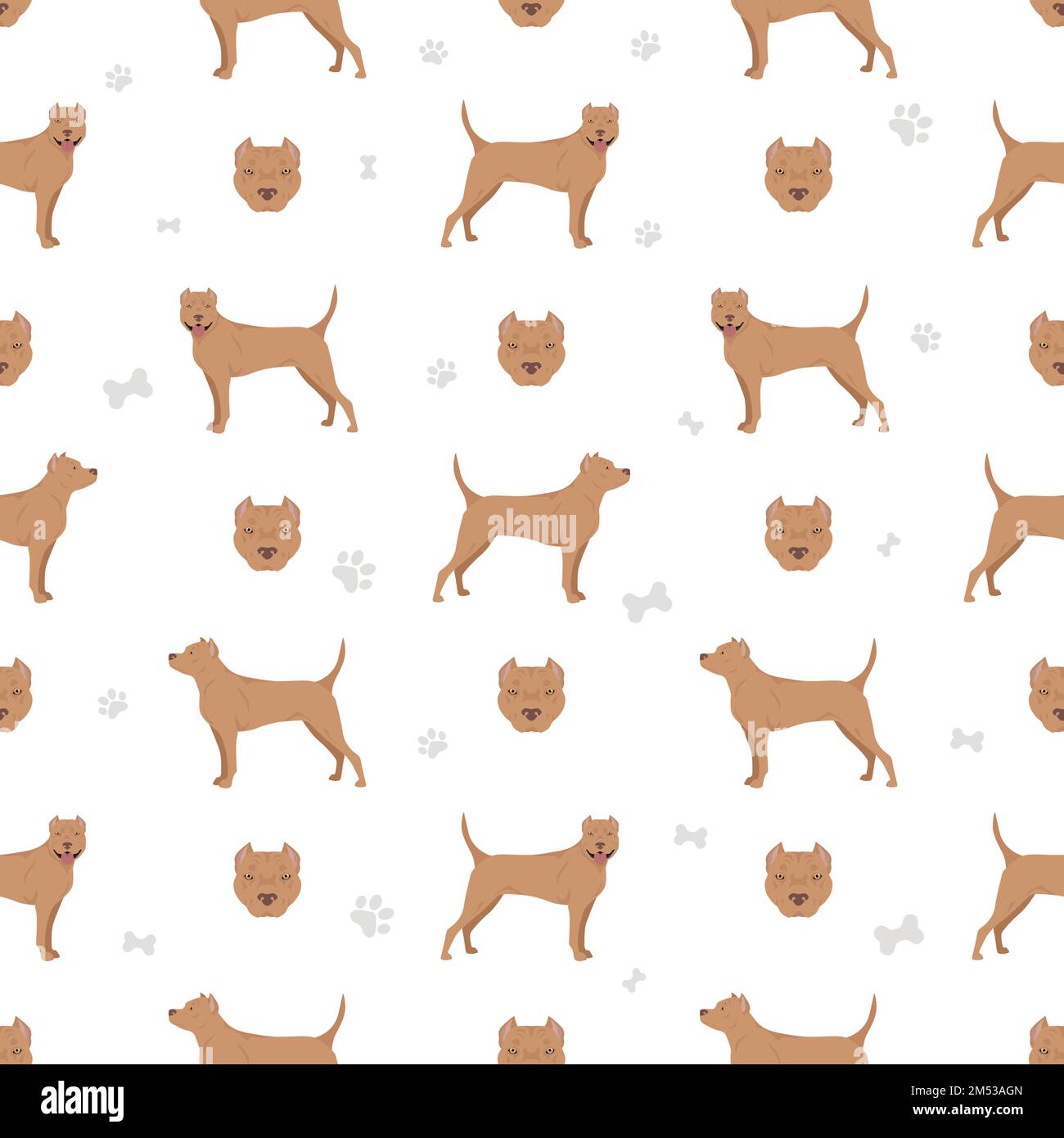 American staffordshire terrier sans coutures. Illustration vectorielle Illustration de Vecteur