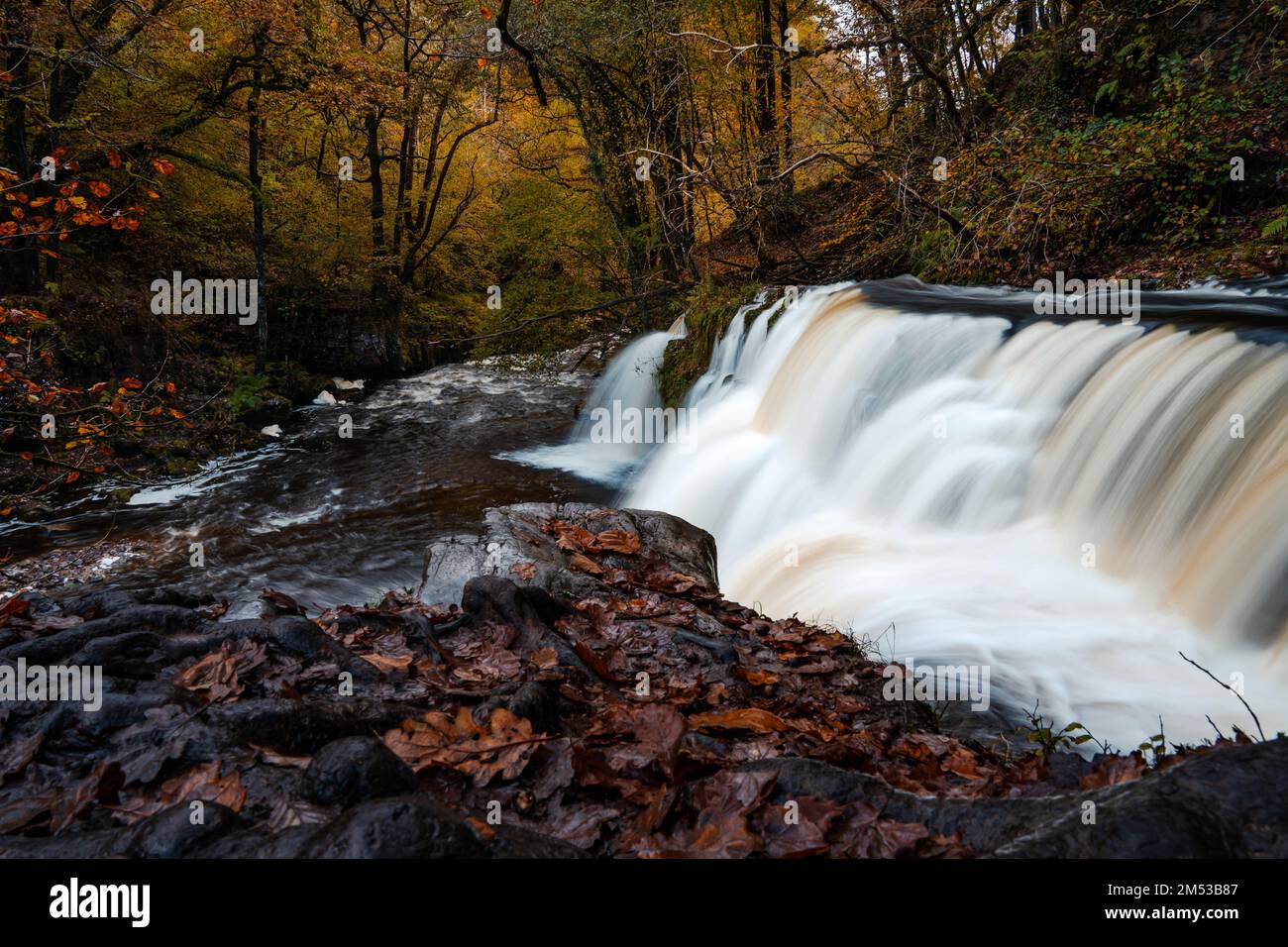 Four Waterfall Walk, Waterfall Country, parc national de Brecon Beacons, pays de Galles du Sud, Royaume-Uni. Long cours d'eau d'exposition dans la forêt d'automne. Banque D'Images