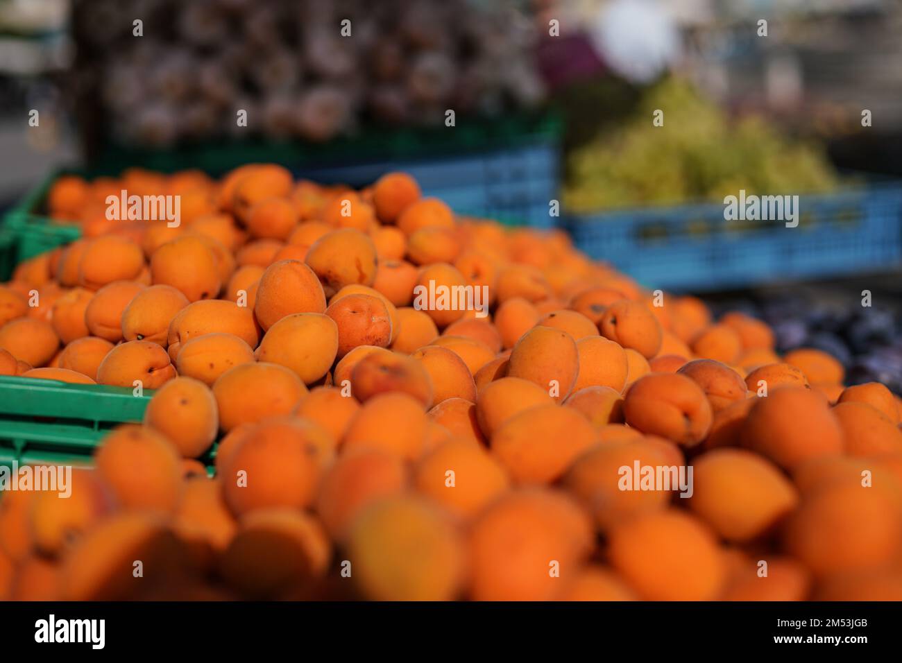 Tas d'abricots exposés sur le marché alimentaire, faible profondeur de champ détail de gros plan Banque D'Images