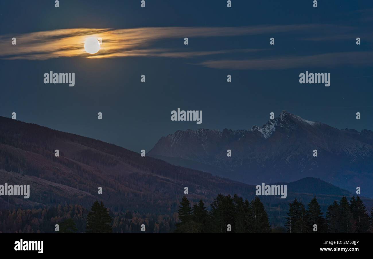 Pleine lune sur le sommet du mont Krivan - symbole slovaque - silhouettes des arbres forestiers en premier plan, photo du soir Banque D'Images
