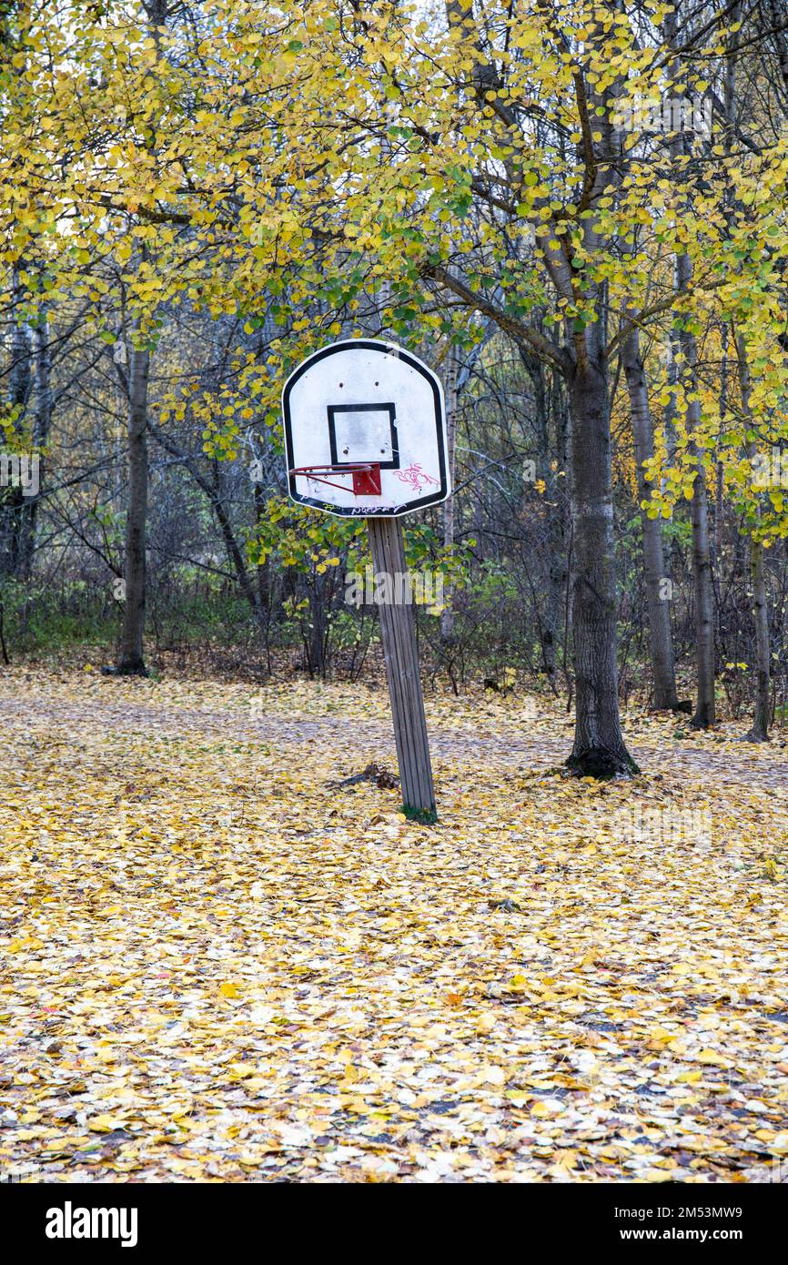 Des feuilles d'automne tombées sur le sol autour du stand de basket-ball à Tilkanniitty, Helsinki, Finlande Banque D'Images