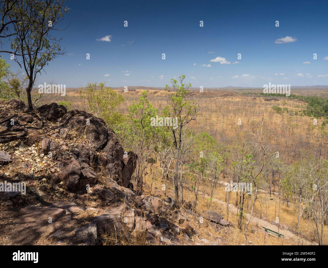 Une série de longs zigzags sur la piste de la boucle mènent à la piscine inférieure, Edith Falls (Leliyn), au parc national de Nitmiluk, territoire du Nord, Australie Banque D'Images