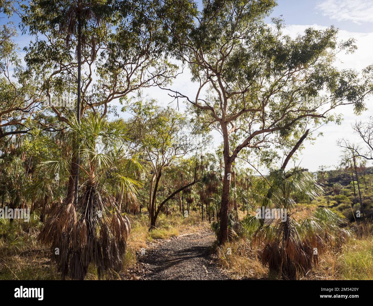Sentier de randonnée du sud, Katherine gorge, parc national de Nitmiluk, territoire du Nord, Australie Banque D'Images