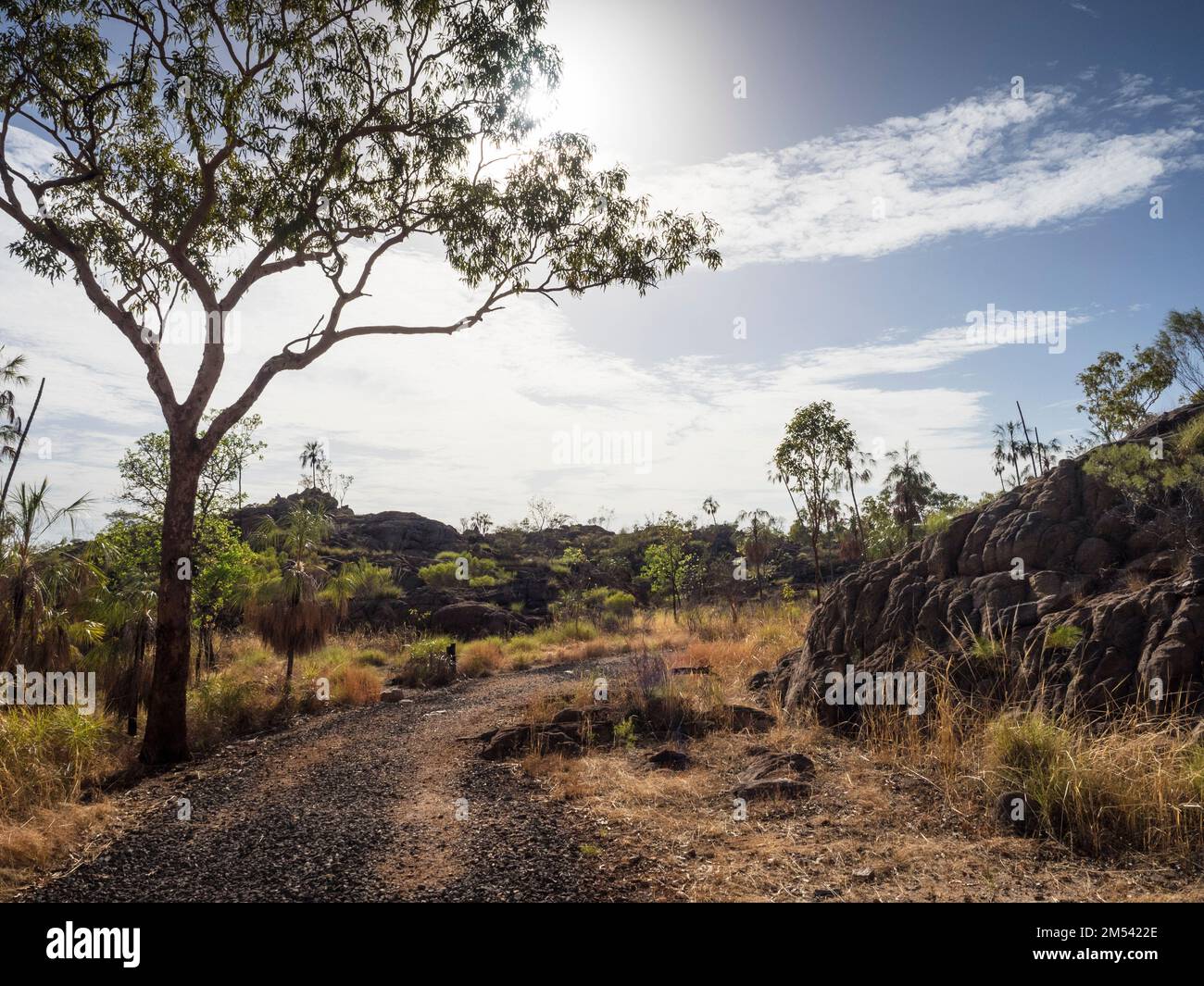 Sentier de randonnée du sud, Katherine gorge, parc national de Nitmiluk, territoire du Nord, Australie Banque D'Images