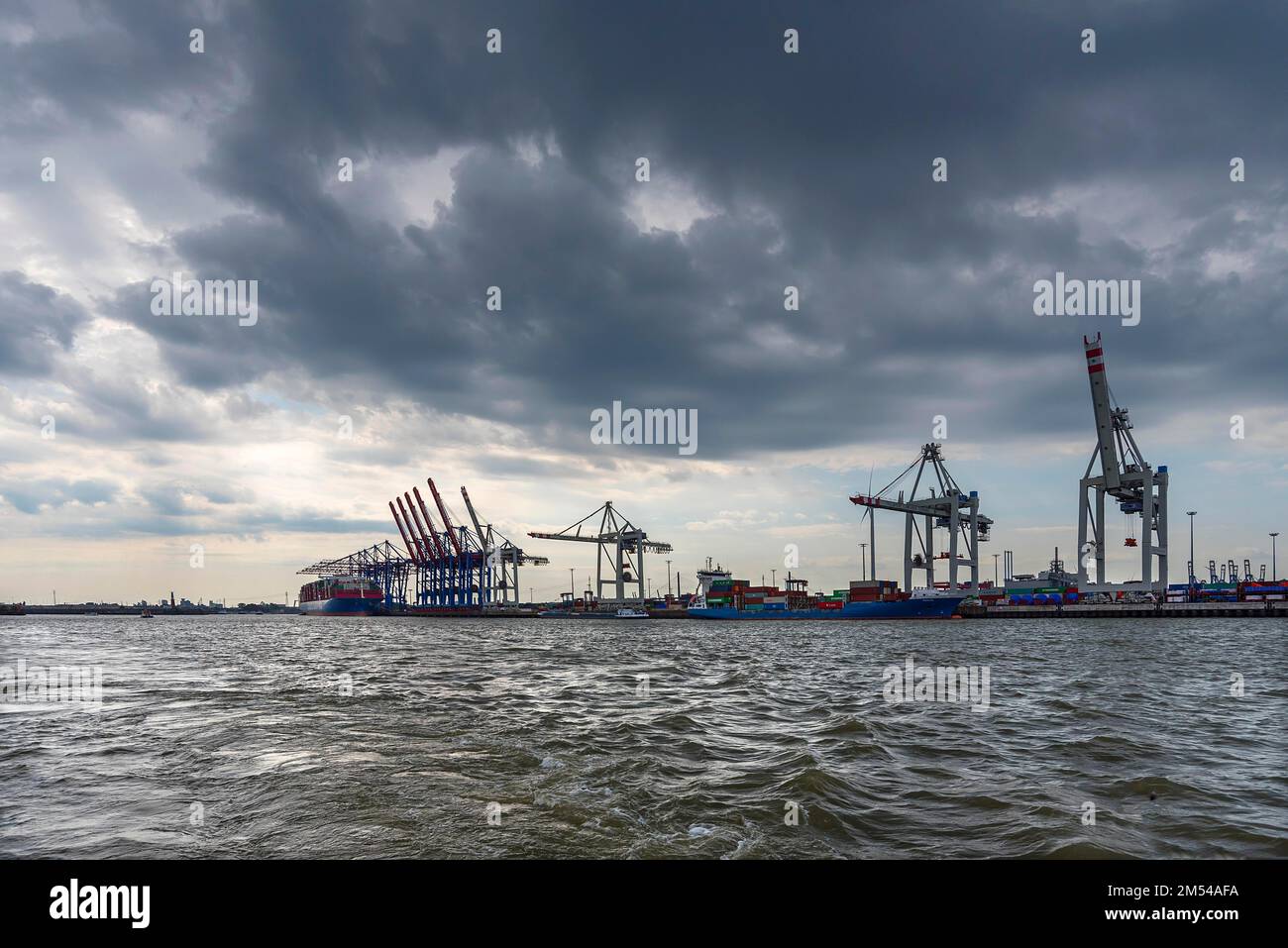 Grues de déchargement dans le port de Hambourg, Hambourg, Allemagne Banque D'Images