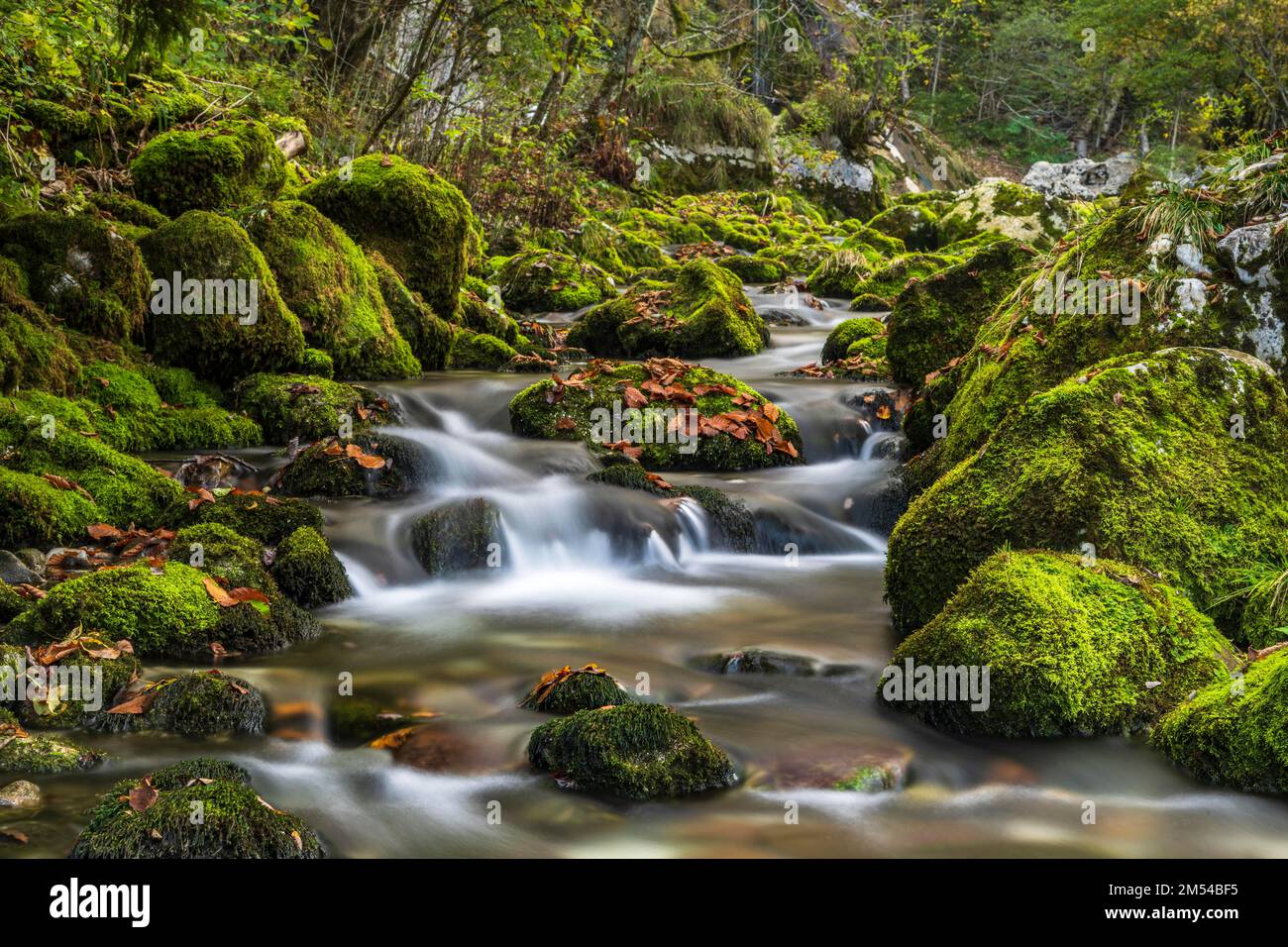 Rochers mousseux au bord du torrent Gljun, près de Wasserall Slap Virje, vallée de la Soca, Bovec, Parc national de Triglav, Slovénie Banque D'Images