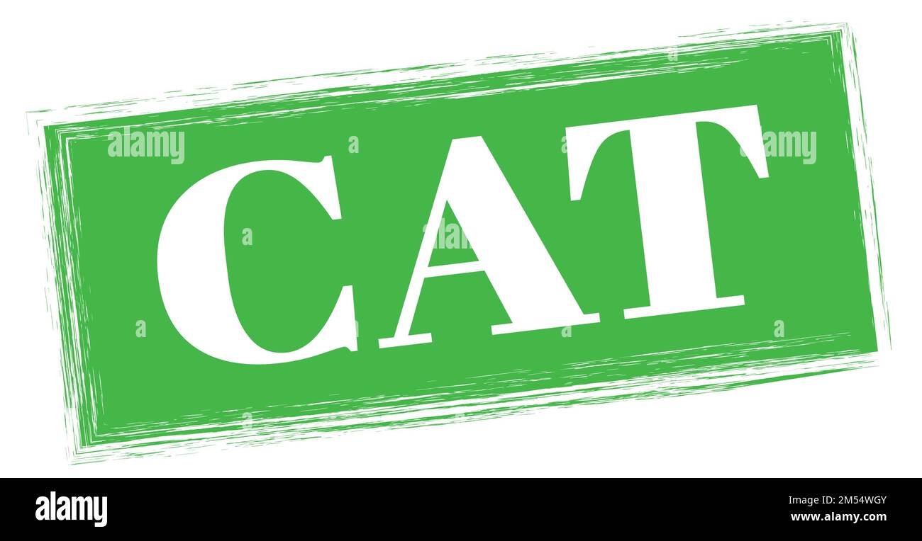 Texte DE CHAT inscrit sur l'enseigne rectangulaire verte. Banque D'Images