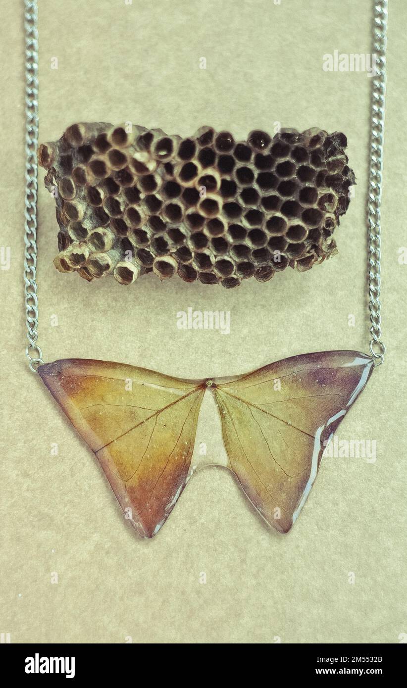 Pendentif en forme de papillon avec feuilles et nid d'abeilles concept photo Banque D'Images