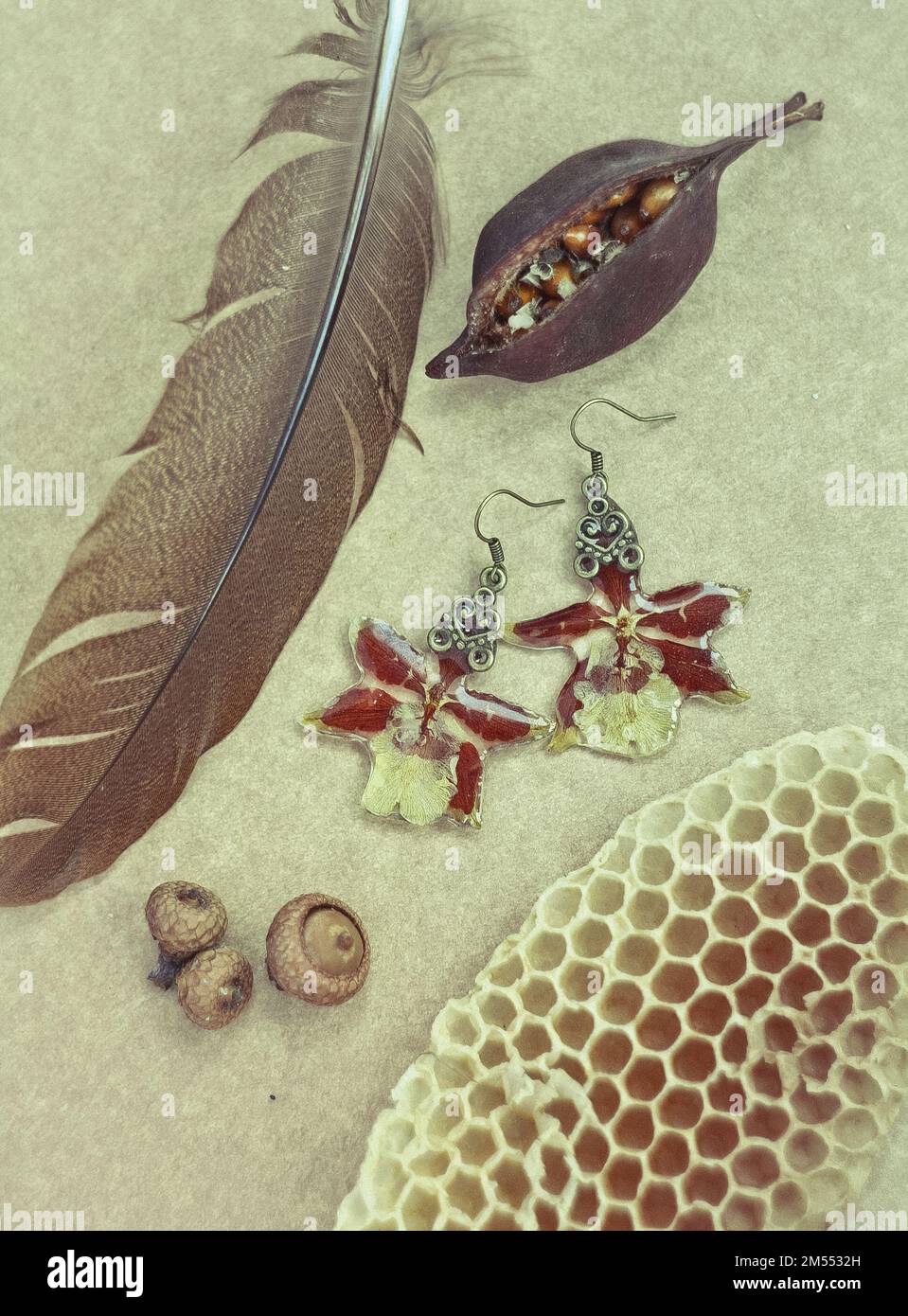 Composition en gros plan avec boucles d'oreilles fleuries et photo concept des éléments naturels Banque D'Images