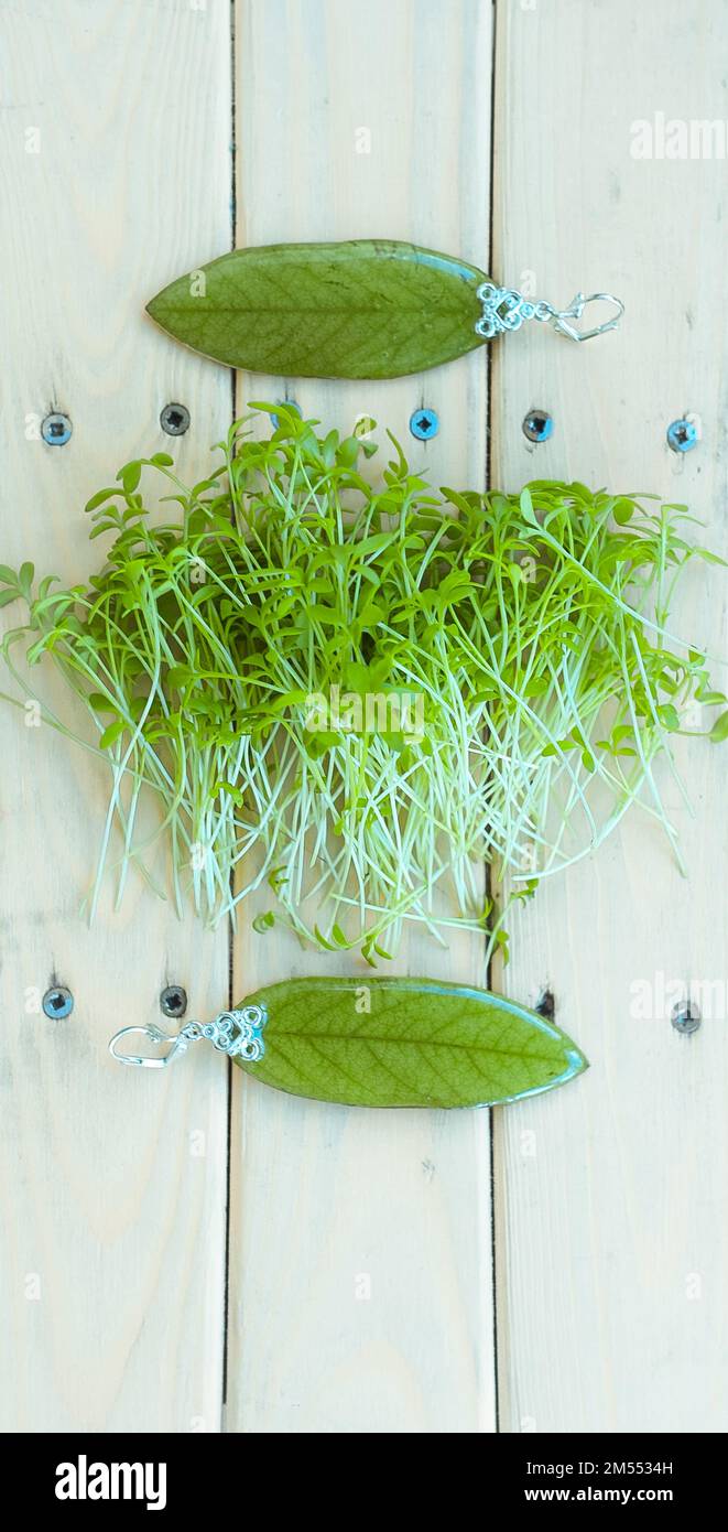 Boucles d'oreilles en gros plan avec feuilles et pousses fraîches photo concept Banque D'Images