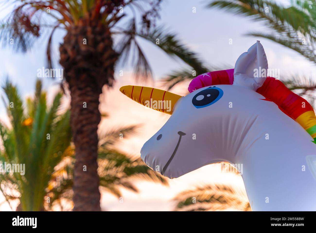 Un cliché sous angle d'une licorne gonflable colorée dans une piscine Banque D'Images