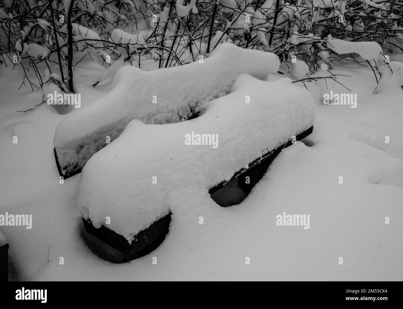 En hiver, vous pourrez vous promener dans la forêt de Wolski à Cracovie Banque D'Images
