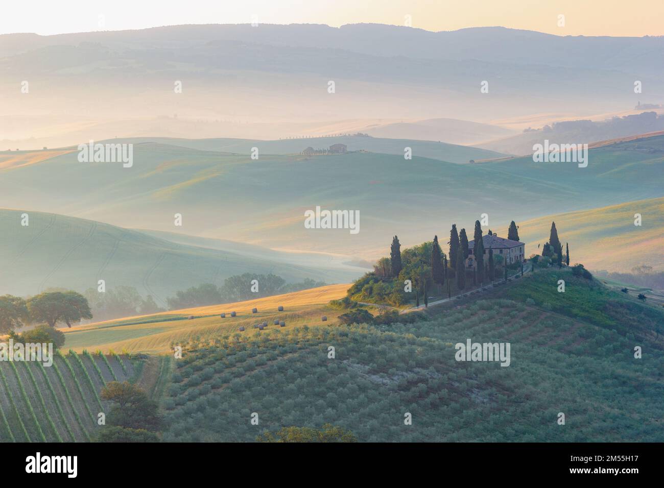 Paysage en Toscane, campagne italienne Banque D'Images