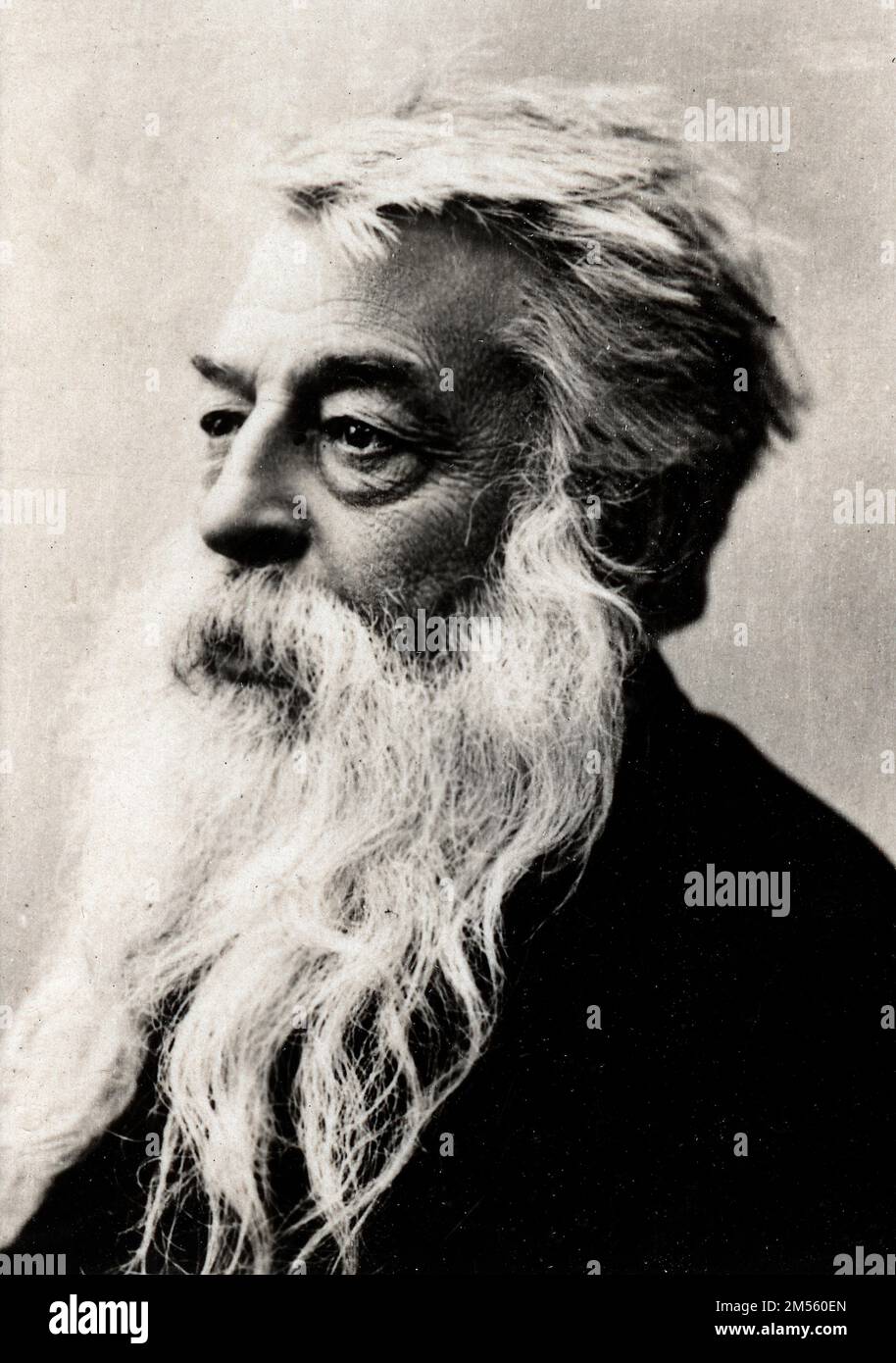 Portrait de Jean Louis Ernest Meissonier (1815-1891), personne francais. Photographie fin 19eme siecle. Banque D'Images