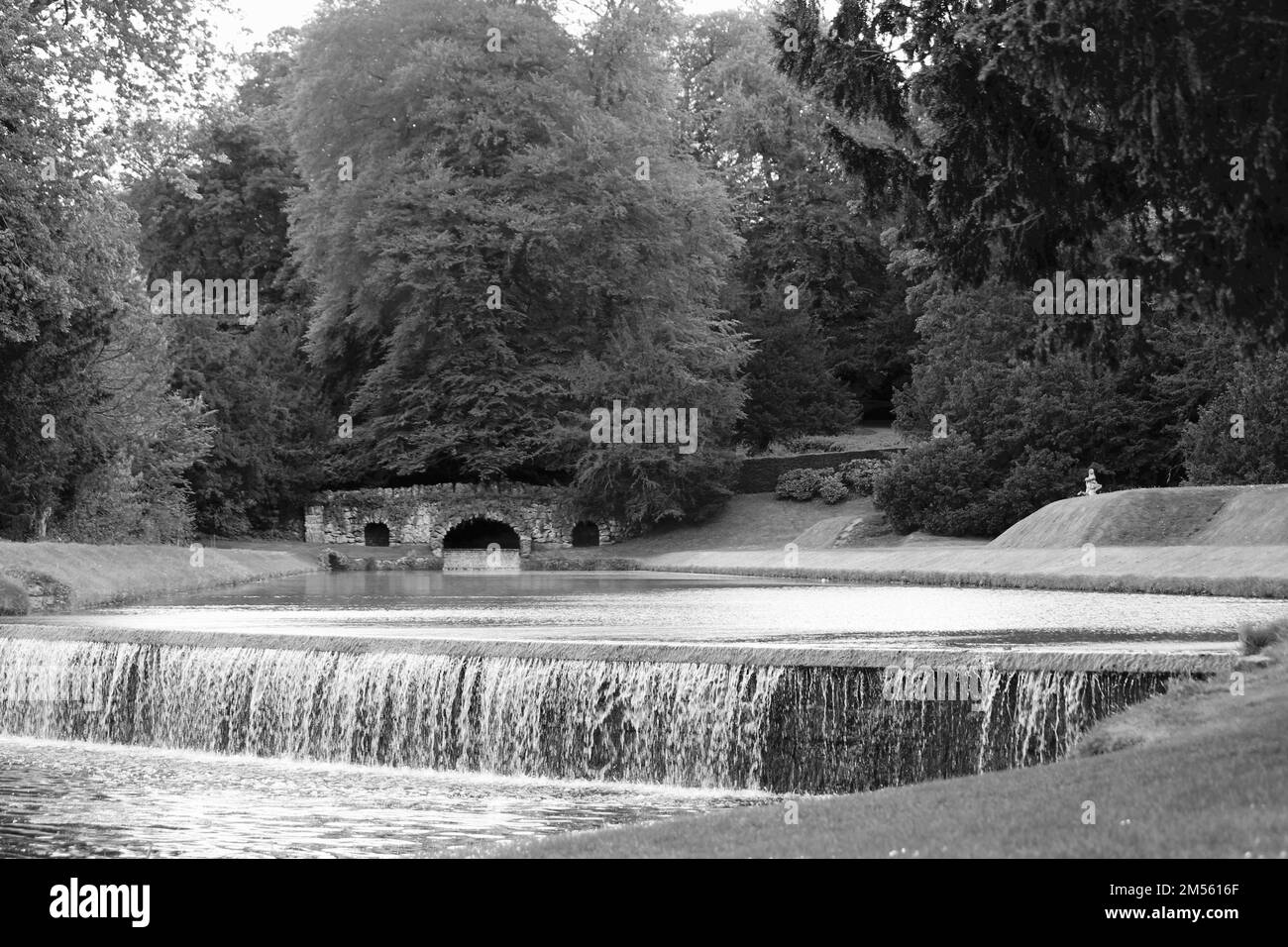 Photo en niveaux de gris d'une cascade avec un arrière-plan d'arbres Banque D'Images