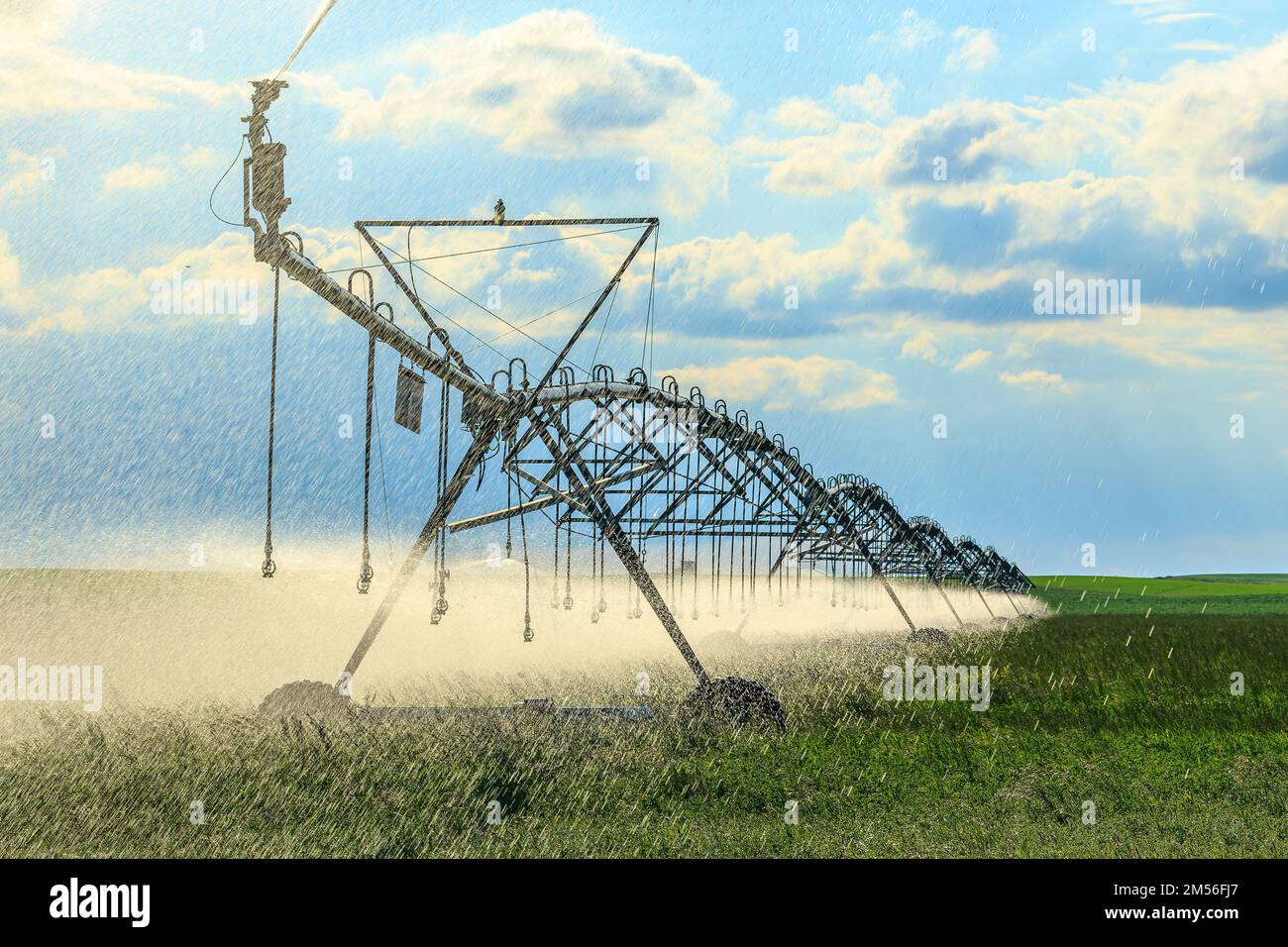 Arroseurs d'irrigation pulvérisant de l'eau sur un champ vert dans le sud de l'Alberta Banque D'Images