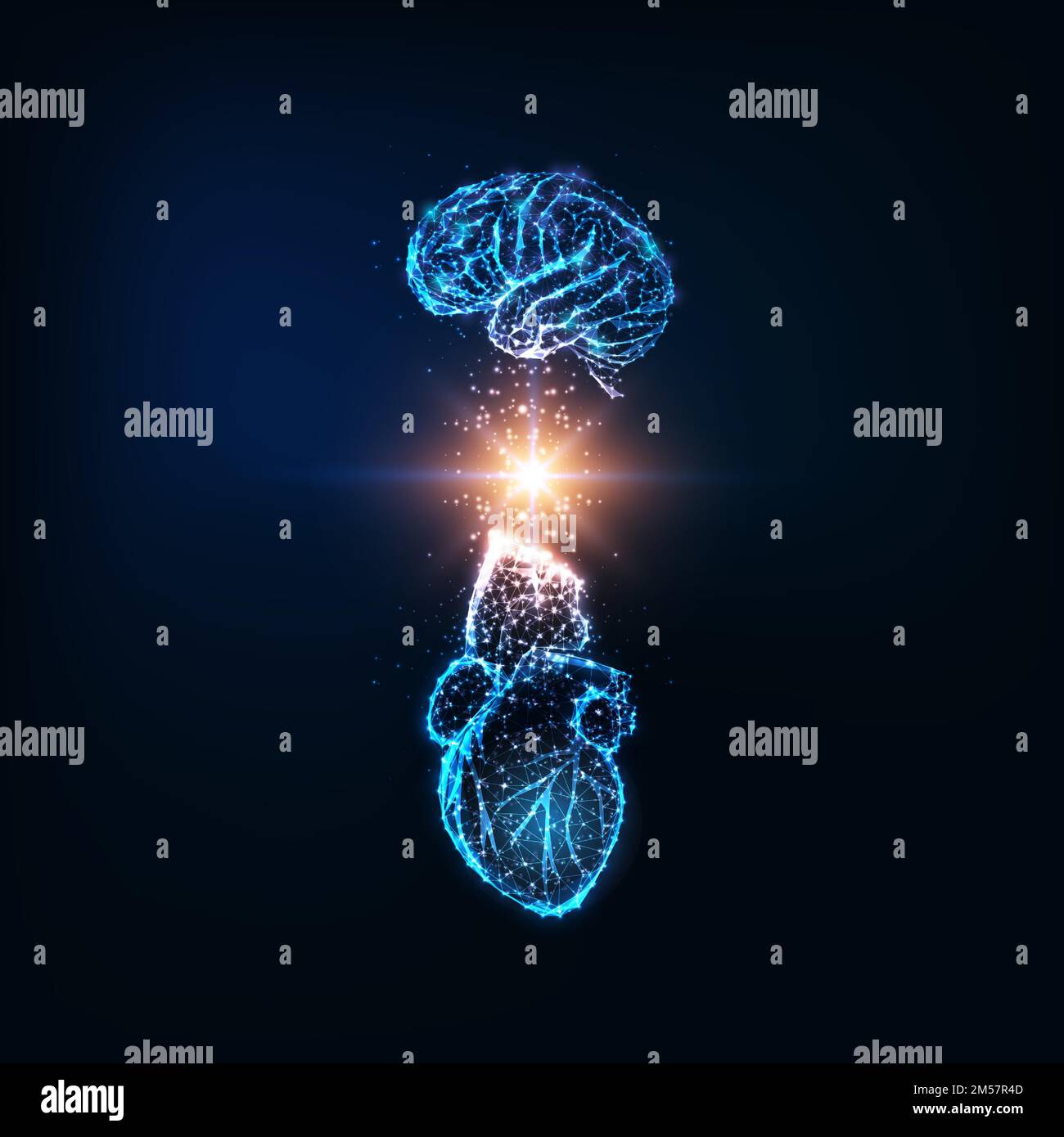 Concept futuriste d'intelligence émotionnelle avec cerveau humain et cœur à faible polygone lumineux et énergie lumineuse entre eux isolés sur le backgro bleu foncé Illustration de Vecteur