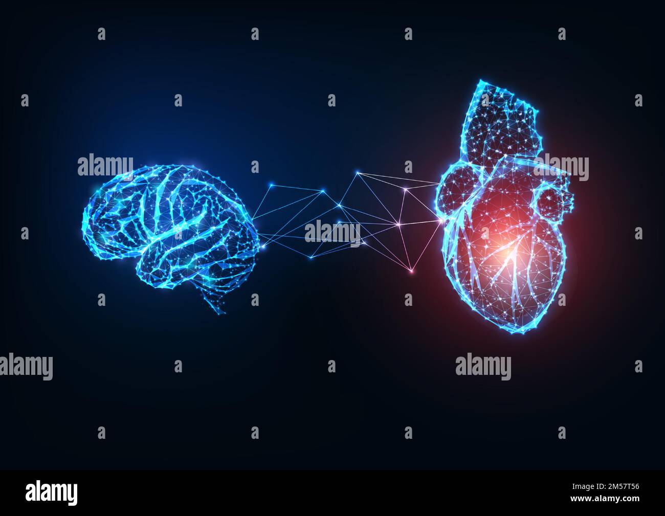équilibrer les organes Banque d'images vectorielles - Alamy