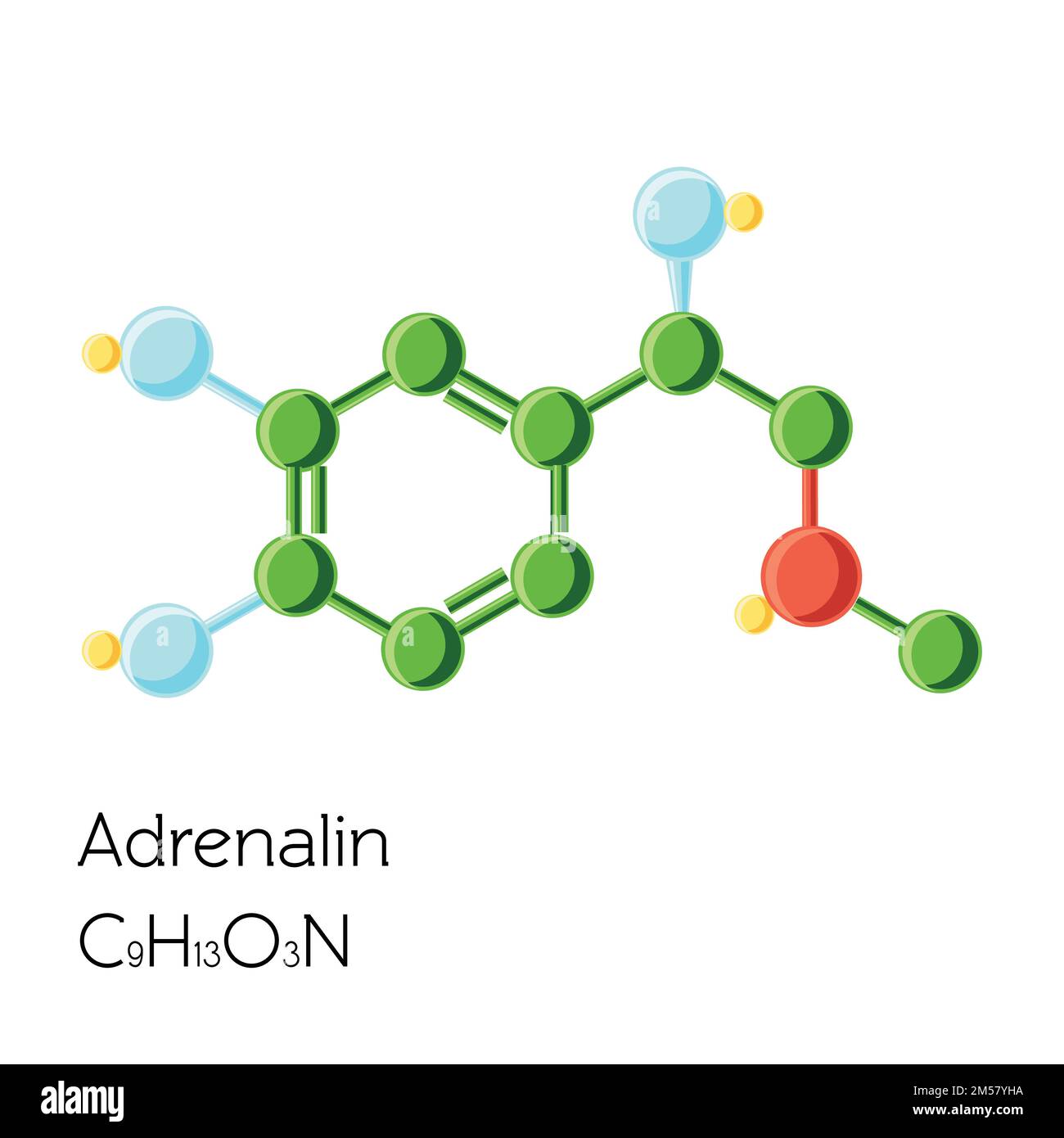 Adrénaline, Adrenaline, formule chimique structurale d'hormone d'épinéphrine isolée sur fond blanc. Illustration vectorielle de dessin animé de style plat. Illustration de Vecteur