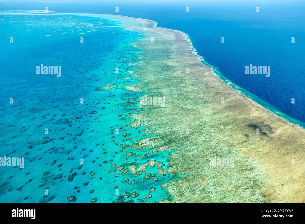 Îles Whitsunday. Grande barrière de corail. Queensland. Australie Banque D'Images