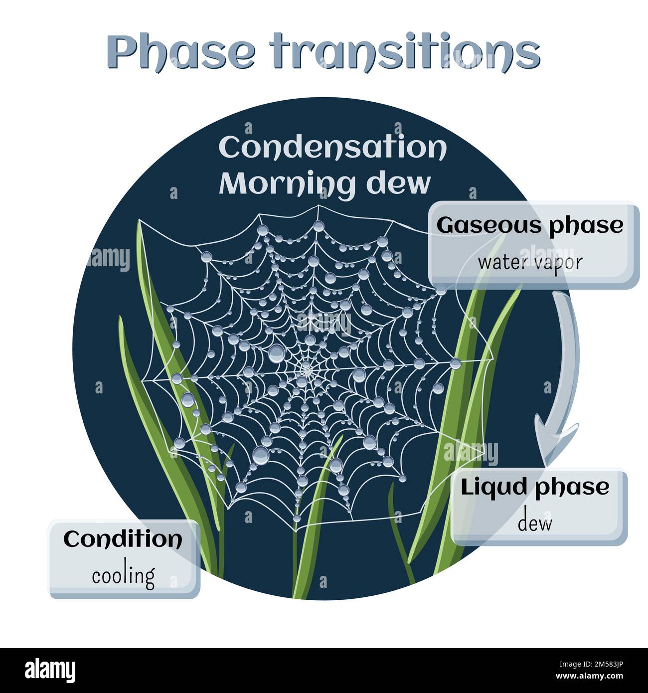 Changements d'état. Partie 4 de 6. Condensation d'eau - rosée du matin. Transition de phase de l'état gazeux à l'état liquide. Infographies pédagogiques. vec de dessin animé Illustration de Vecteur