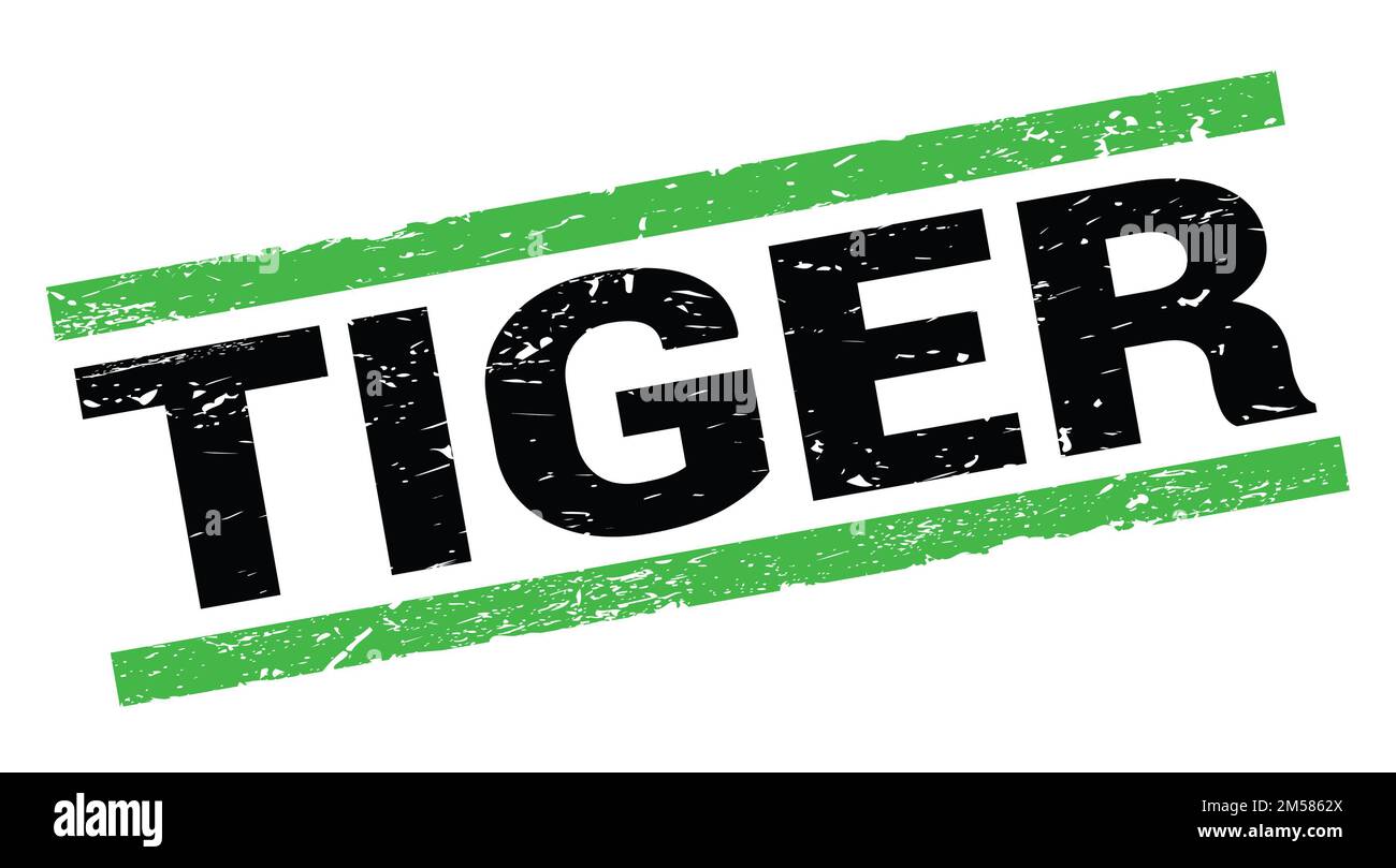 Texte TIGER inscrit sur le signe vert du rectangle. Banque D'Images