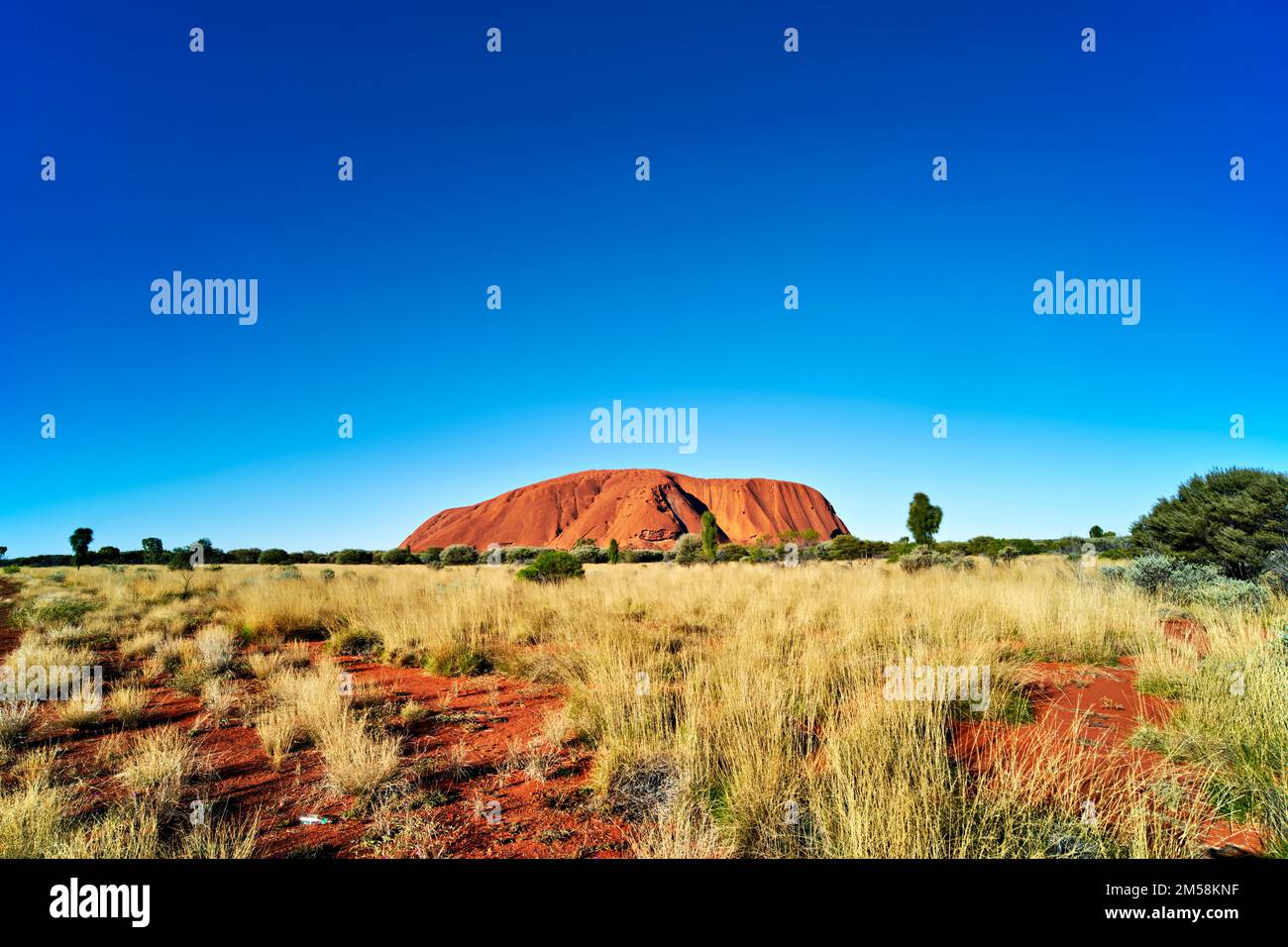 Uluru Ayers Rock. Territoire du Nord. Australie Banque D'Images