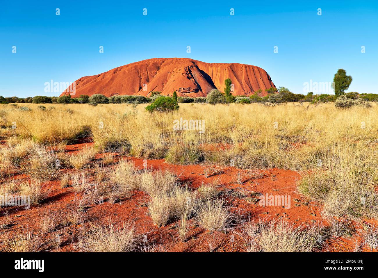 Uluru Ayers Rock. Territoire du Nord. Australie Banque D'Images