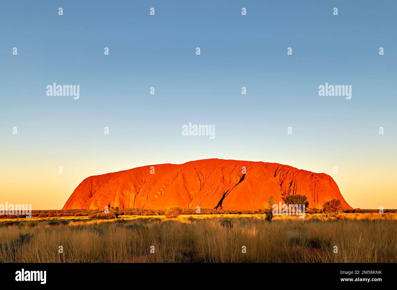 Coucher de soleil à Uluru Ayers Rock. Territoire du Nord. Australie Banque D'Images