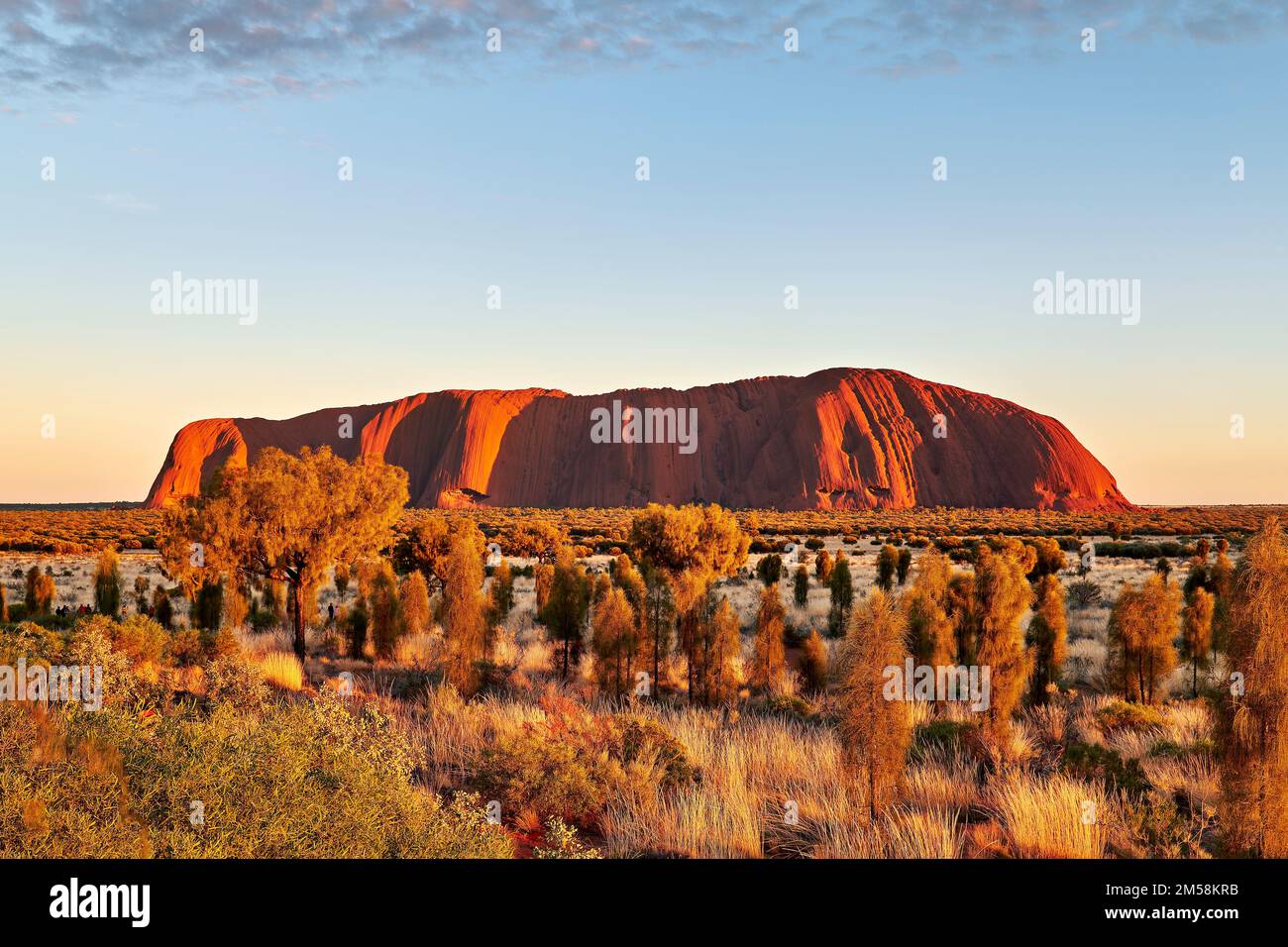 Lever du soleil à Uluru Ayers Rock. Territoire du Nord. Australie Banque D'Images