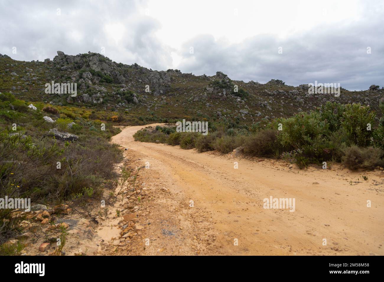 Route de gravier près de Porterville dans le Cap occidental de l'Afrique du Sud Banque D'Images