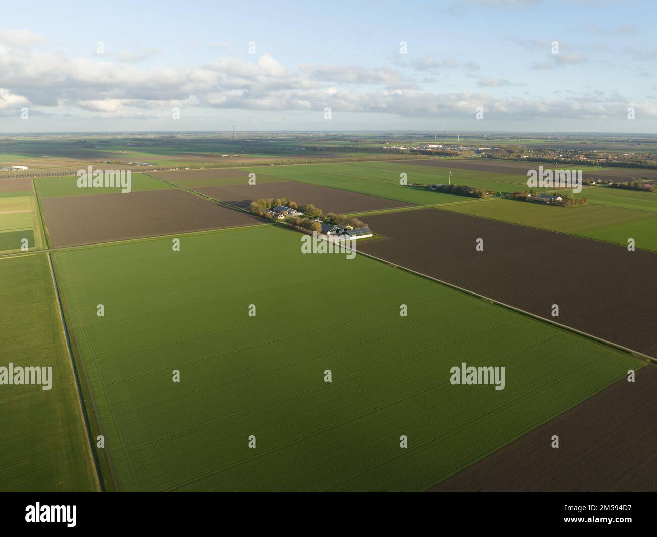 Agriculture moderne maison de ferme résidentielle dans un vaste champ vert vide. Vue panoramique en hauteur. Banque D'Images
