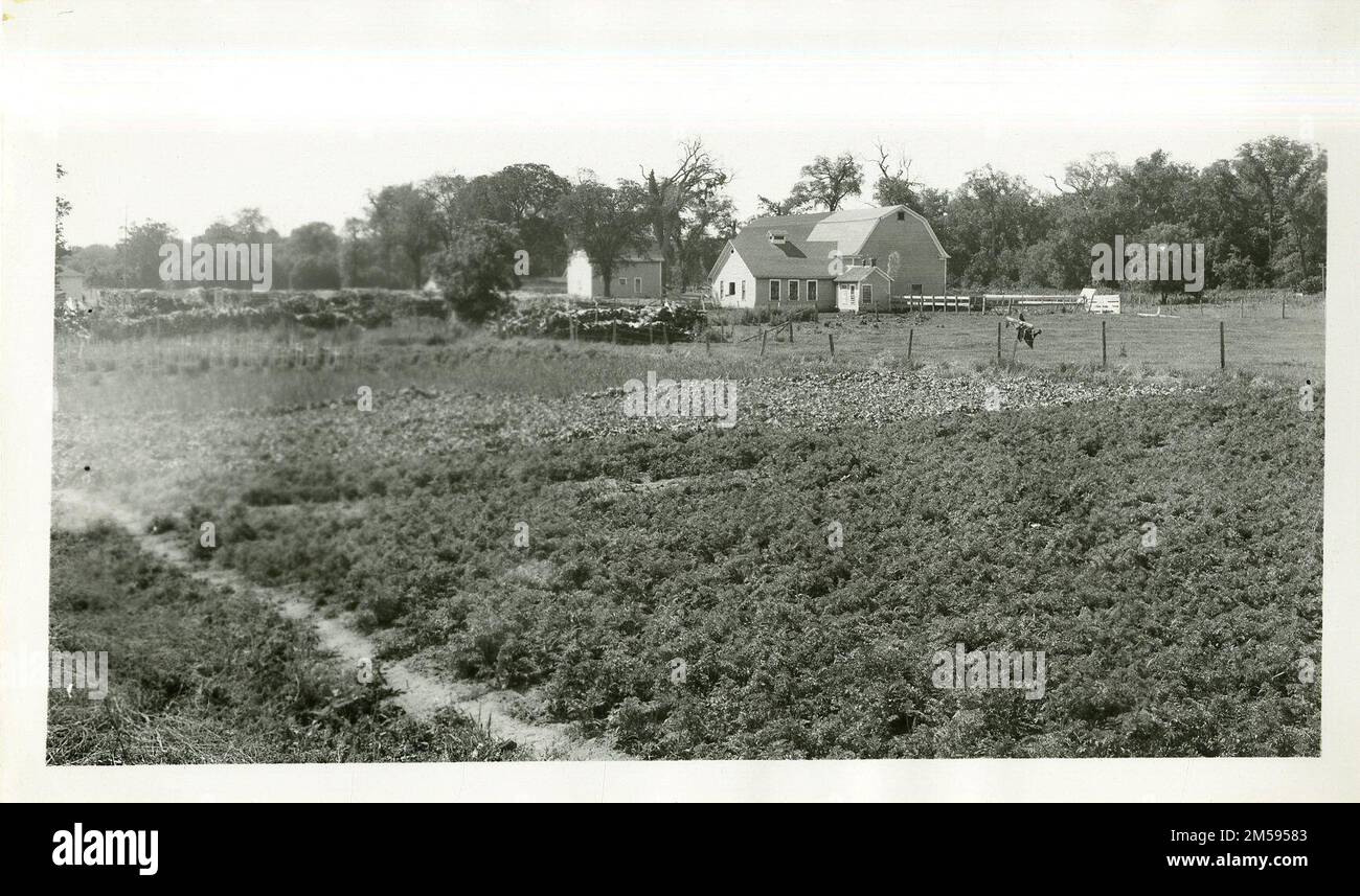 Ponemah School Garden Plot. Région des Plaines centrales (Kansas City, Mo). Impression photographique. Département de l'intérieur. Bureau des affaires indiennes. Agence de Red Lake. 1964-. Photographies Banque D'Images