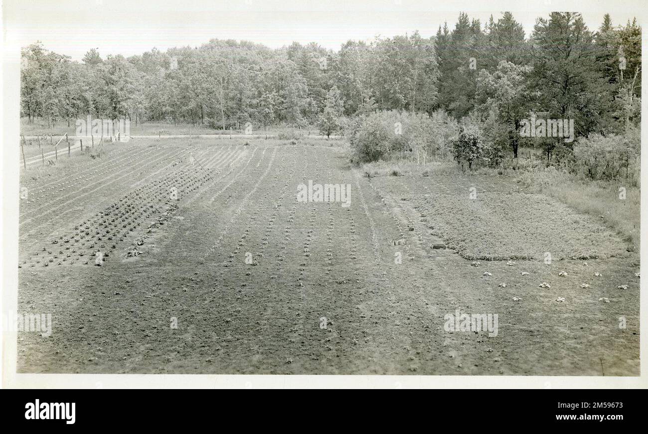 Vue d'ensemble du tracé du grand jardin. Région des Plaines centrales (Kansas City, Mo). Impression photographique. Département de l'intérieur. Bureau des affaires indiennes. Agence de Red Lake. 1964-. Photographies Banque D'Images