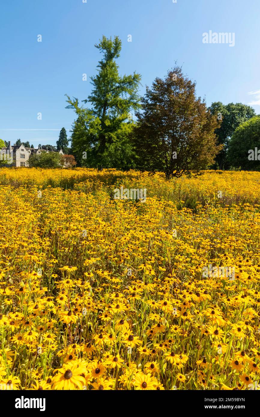 Angleterre, West Sussex, Wakehurst, Wakehurst place House and Gardens *** Légende locale *** Royaume-Uni,Grande-Bretagne,Grande-Bretagne,Angleterre,Anglais,Brit Banque D'Images