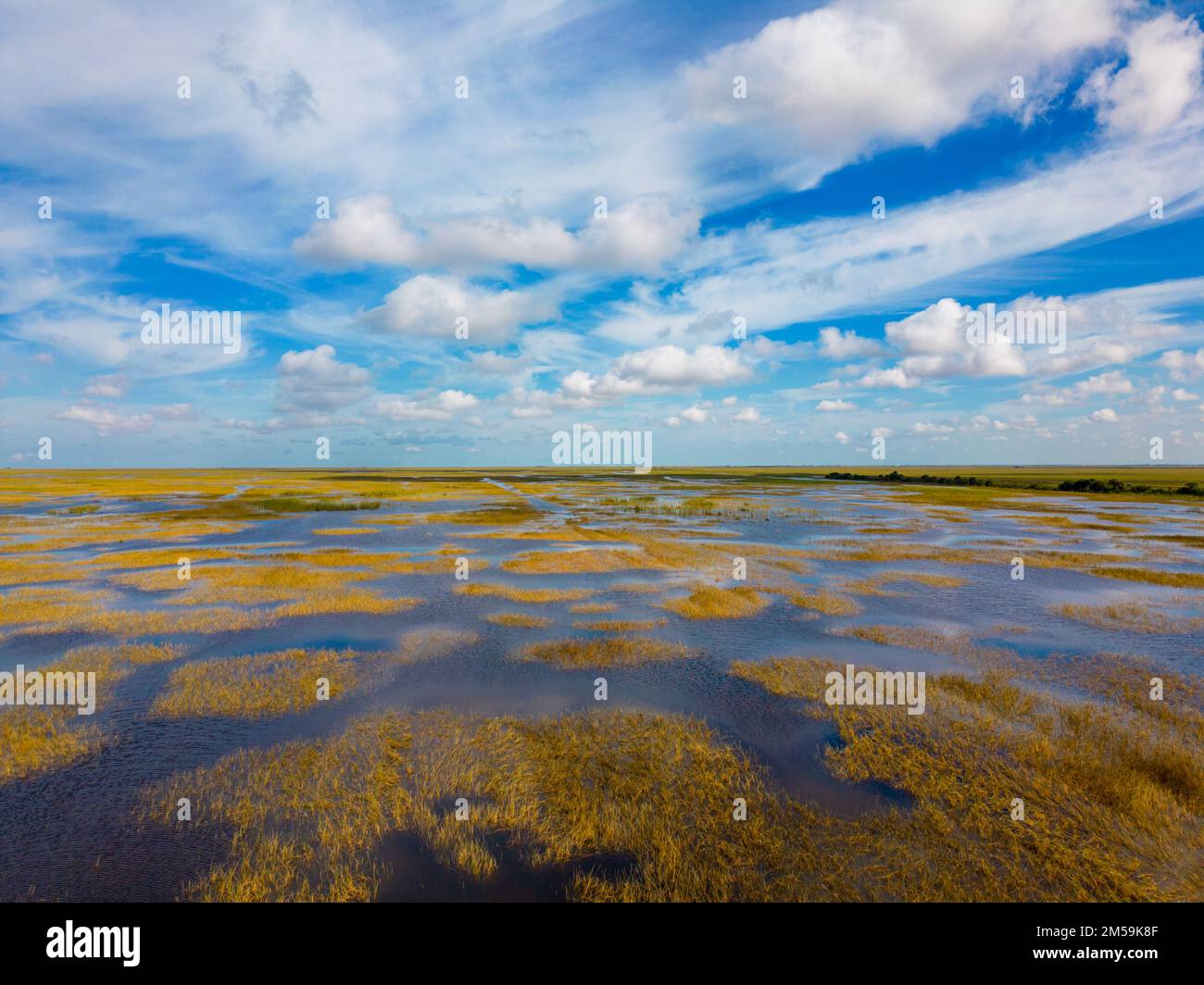 Photo aérienne paysages naturels des Everglades de Floride Banque D'Images