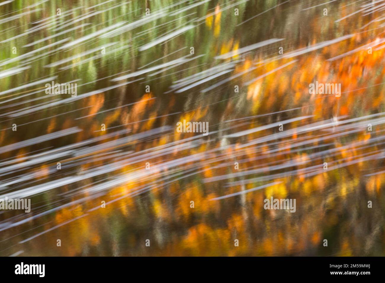 Images abstraites à longue exposition de feuilles d'automne dorées sur des rivières avec de l'eau courante en automne, avec des réflexions et des modèles de mouvement d'eau Banque D'Images