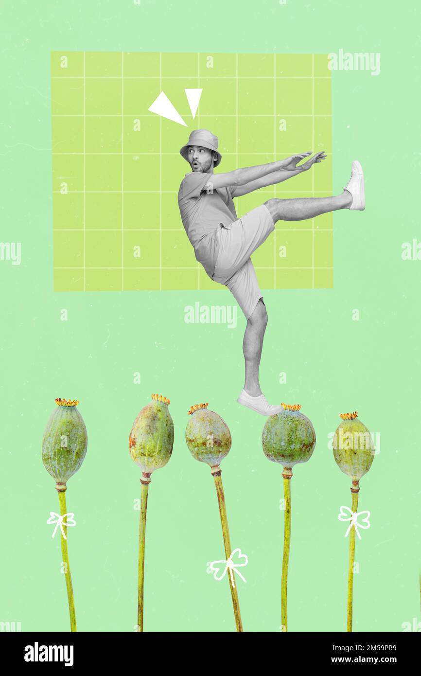 Creative 3D photo collage art graphiques peinture de drôle funky Guy danse coquelicots isolés dessin arrière-plan Banque D'Images