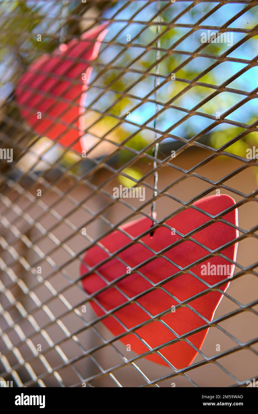 Un coeur rouge en carton mis en cage. L'amour interdit. Saint Valentin. Banque D'Images