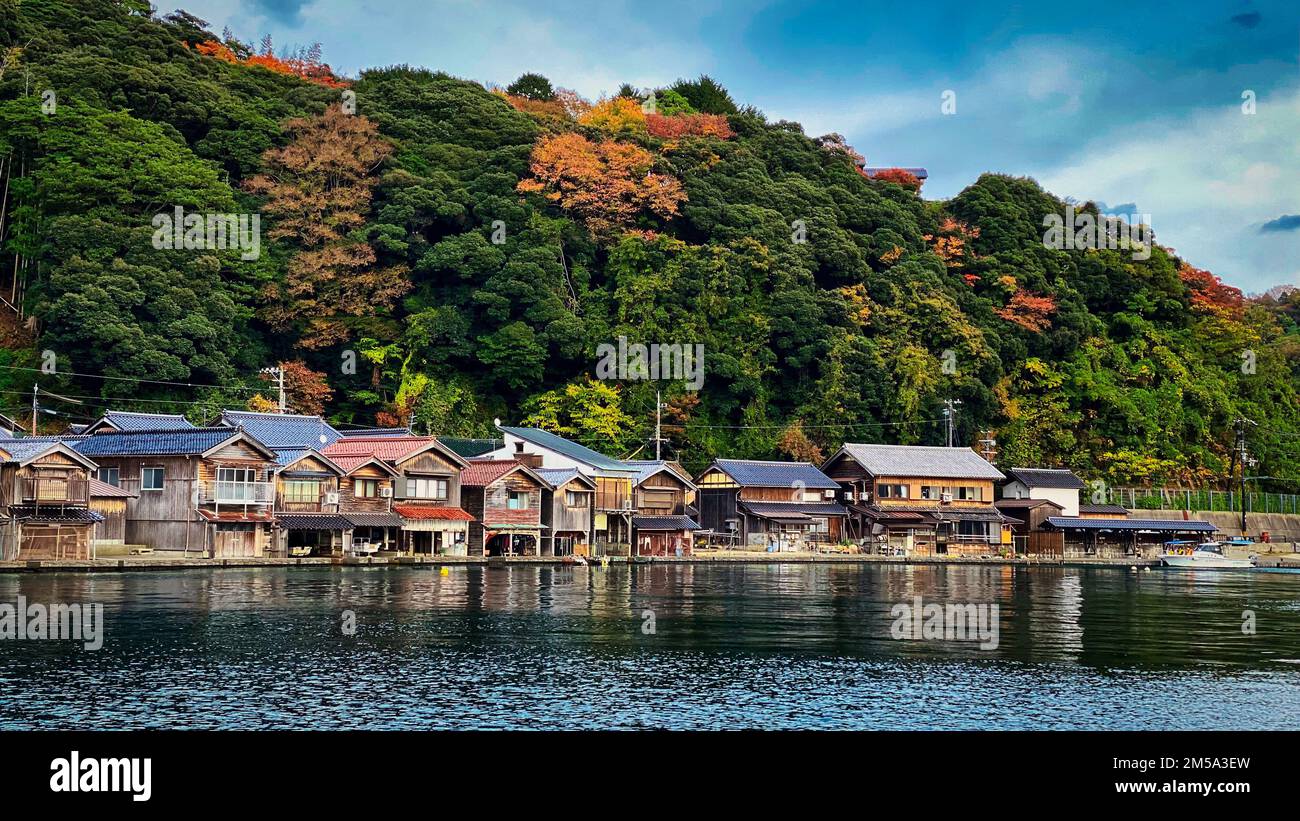 Une belle photo de maisons similaires sur terre entourée d'arbres d'automne Banque D'Images