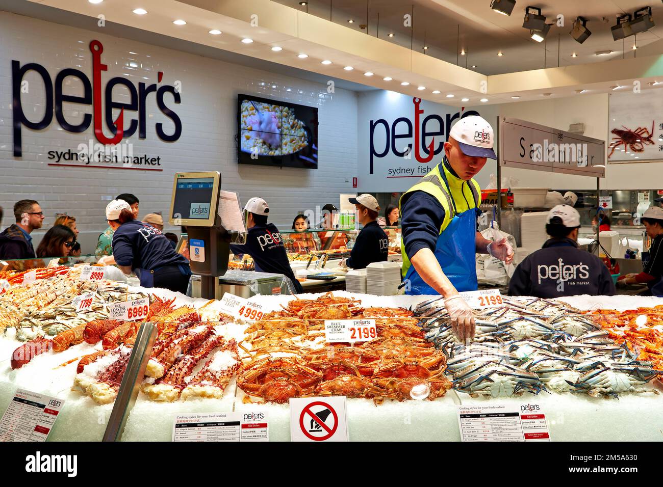 Sydney. Nouvelle-Galles du Sud. Australie. Le marché aux poissons. Crabes et homards frais Banque D'Images