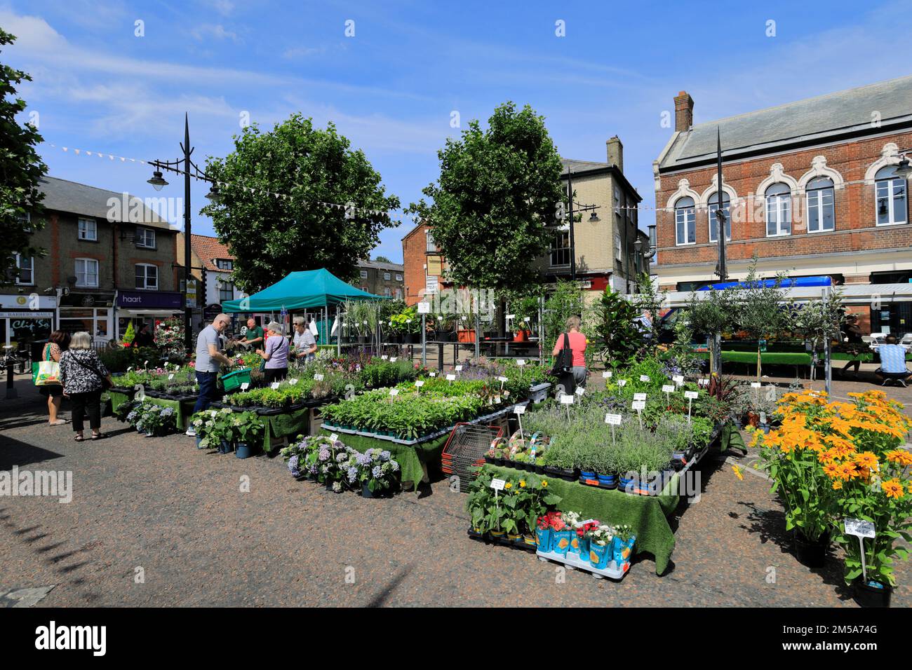 Le marché hebdomadaire à March Town, Cambridgeshire; Angleterre, Royaume-Uni Banque D'Images