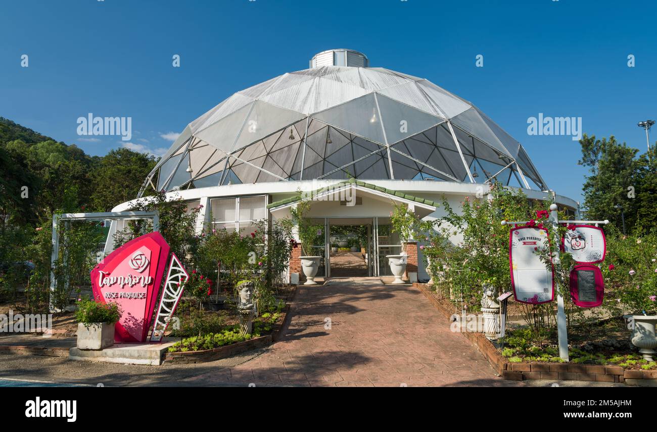 Chiang Mai, Thaïlande. 9 novembre 2022. Parc Royal Flora Ratchaphruek. Jardin de serre Rose Paradise Banque D'Images