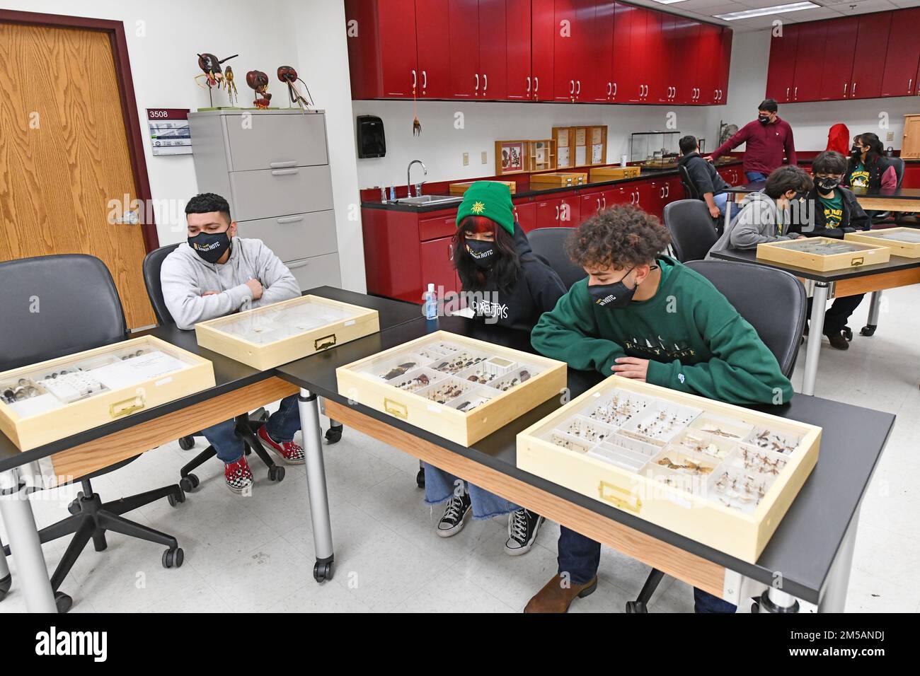 Les élèves du cours de formation des officiers de réserve juniors de l’école secondaire Dillard McCollum voient les expositions au laboratoire d’entomologie de médecine préventive MEDCoE dans le cadre de leur visite à fort Sam Houston. Banque D'Images