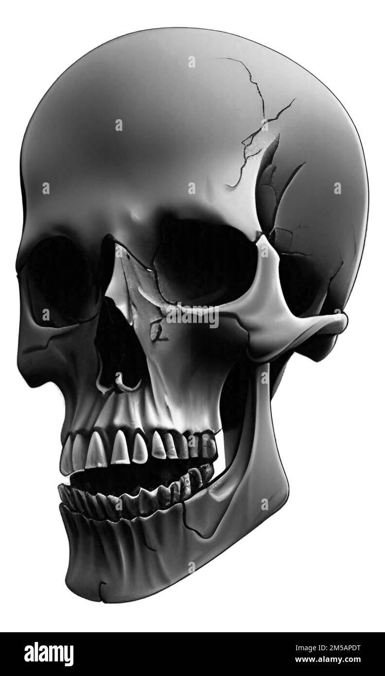 Concept de mort, crâne réaliste isolé sur fond blanc illustration Banque D'Images